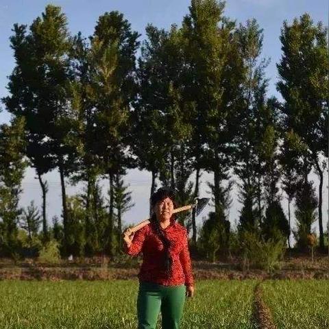 《沙丘觉醒》资源攻略：揭秘前期高效分配策略，助你快速崛起