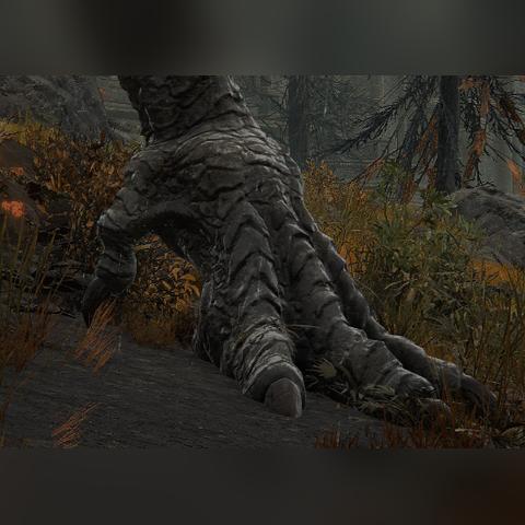 《艾尔登法环》新手必看！路线规划+地点顺序+实用技巧解析攻略