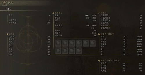 《艾尔登法环》无赖遗物攻略：如何挑选遗物提升黑夜君临战斗力