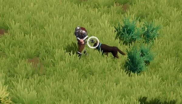 《莱恩岛生存指南》丰收之月攻略:解锁高效触改技巧,月度丰收不再是梦 《莱恩岛生存指南》丰收之月攻略:解锁高效触改技巧,月度丰收不再是梦