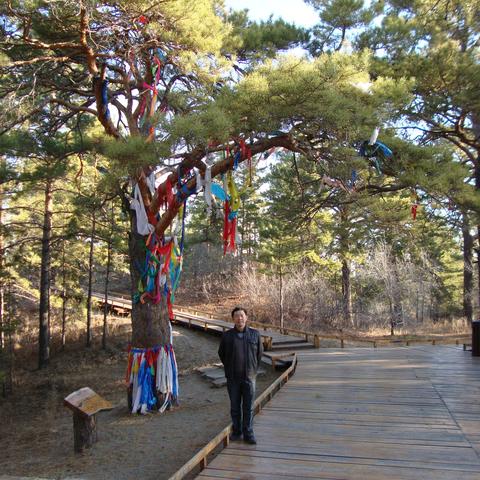 《幻想生活i》森林建造秘籍:解锁独特生态家园新玩法 《幻想生活i》森林建造秘籍:解锁独特生态家园新玩法