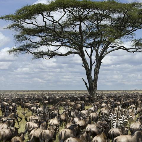 《巴尔的遗产》符纹之语攻略：解锁神秘符文，提升战斗力秘籍