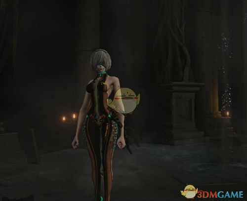 《艾尔登法环复仇者攻略》黑夜君临玩法解析，掌握复仇技巧助你称霸江湖