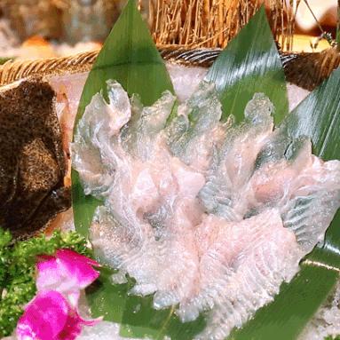 熔岩鲔鱼位置揭秘！轻松获取熔岩鱼鳍攻略大公开