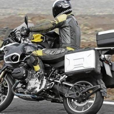 《幻想生活i》轻松解锁森林豹坐骑！独家攻略助你一跃成为骑手达人