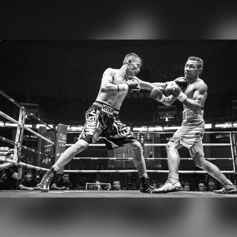 世家评级必备！《吾今有世家》独家评定标准深度解析