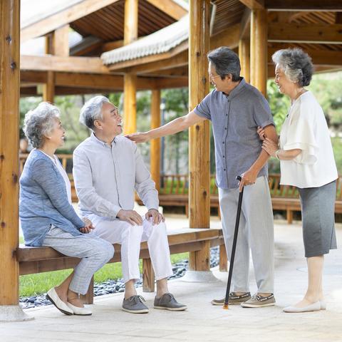 《幻想生活i》暗号轻松获取！揭秘输入技巧，畅玩无忧