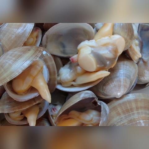 《幻想生活》钓鱼新手必看！揭秘高效捕鱼技巧，轻松捕获转圈龙与偷时少女！