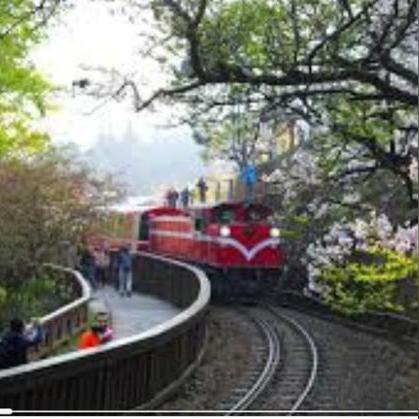 《崩坏星穹铁道》风堇角色深度解析：独家前瞻PV揭秘，游戏新亮点抢先看