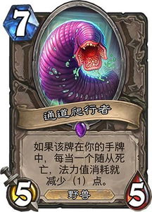 炉石传说快攻骑卡组攻略：杂毛快攻骑绝杀技巧深度解析