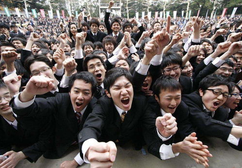 《光与影33号》角色装备技能搭配攻略，毕业加点技巧大揭秘！