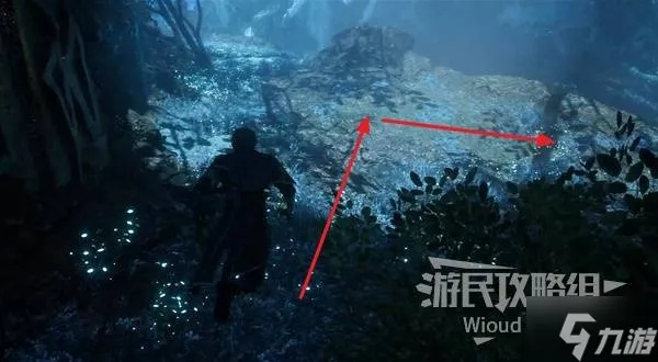 《光与影33号》吕涅浮光结获取攻略+属性解析，轻松掌握！