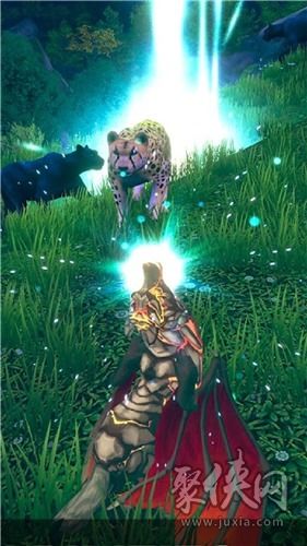 《饿狼传说群狼之城》双叶萤CG揭秘：独家深度解析，游戏剧情新视角