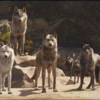 《饿狼传说》群狼之城联动AlanWalker，独家首发新曲震撼来袭！