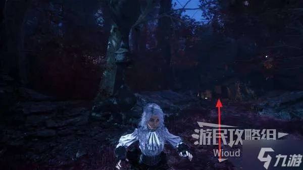 《光与影》33号队死亡符纹获取攻略：揭秘高效获取方法