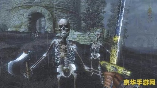 《上古卷轴4》骷髅钥匙攻略：快速解锁神秘宝藏秘籍！