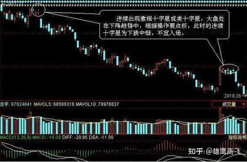 北部山区高效搜刮攻略：掌握技巧轻松翻倍收益