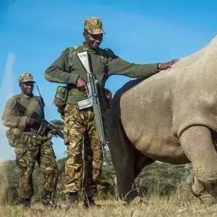 《苏丹游戏》快速命运点攻略：揭秘高效攒点技巧，轻松提升实力