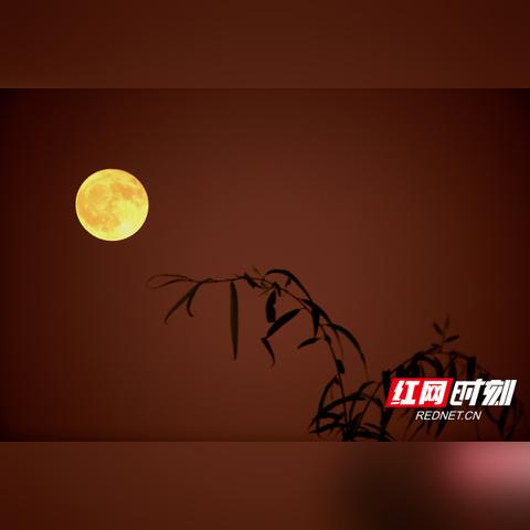 《四海兄弟：故乡》评测：溯源经典，重燃热血情怀