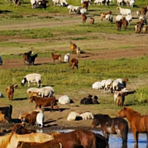 《二之国》国服测试深度解析：揭秘交错世界新价值