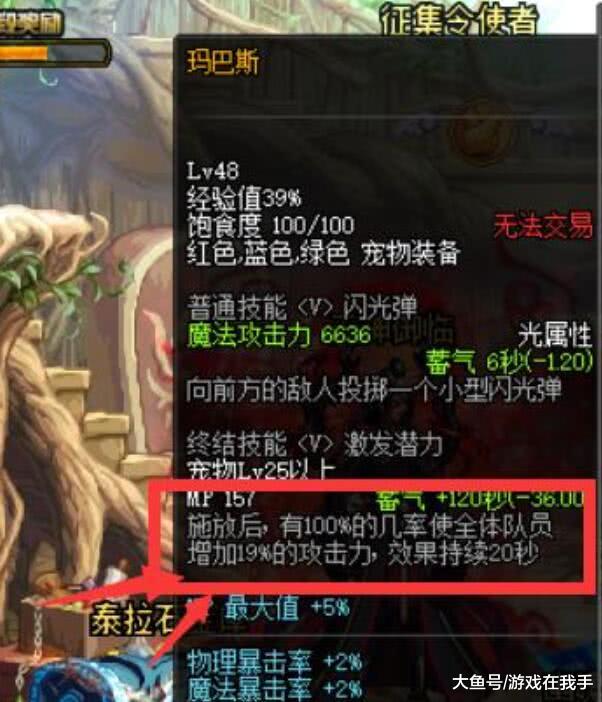 DNF宠物封印胶囊能否封年宠的深度探究 DNF宠物封印胶囊能否封年宠的深度探究