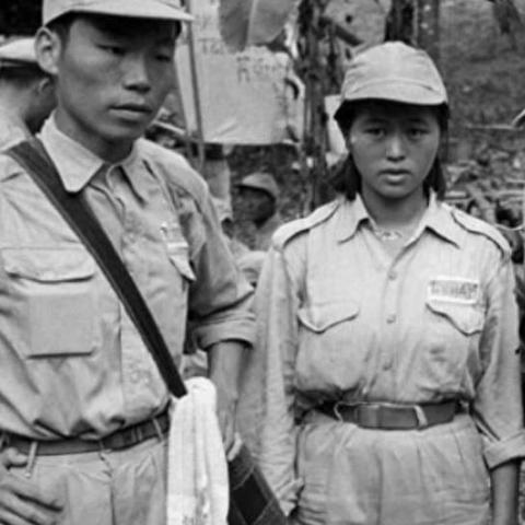 丛林之狐 1 秘籍大揭秘,开启游戏巅峰之旅 丛林之狐 1 秘籍大揭秘,开启游戏巅峰之旅