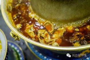 探秘浙江“螺蛳粉”樱花：不同于常见的无香樱花