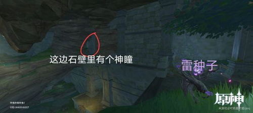 《原神》蜃景祭场攻略：解锁秘境蜃景祭场新玩法揭秘