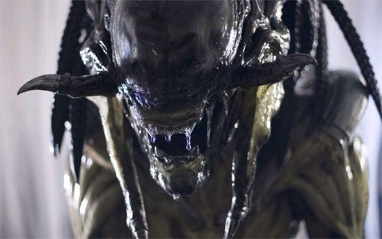 小岛晒与异形亲密合影：揭秘生存新法则