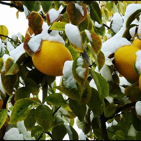 海棠文学城app下载官网2022,你觉得什么影视比较好看