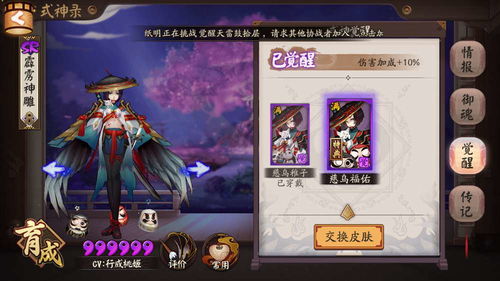 阴阳师柴犬守护哪里多？全方位探寻指南