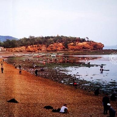 裸露奇遇引热议:揭秘《天外世界2》NPC妙语连珠 裸露奇遇引热议:揭秘《天外世界2》NPC妙语连珠