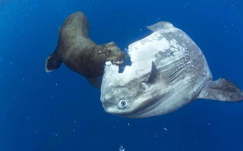 淘拍刷,怎样使用才不踩坑