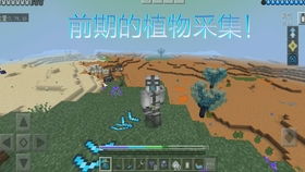 探索〈家园〉中文版,星际冒险的深度体验 探索〈家园〉中文版,星际冒险的深度体验