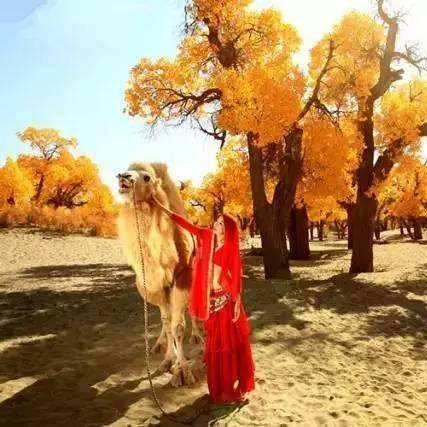 楼兰缘玩家都在找的隐藏真相，为什么它的宿命恋爱比甜宠更让人上头？