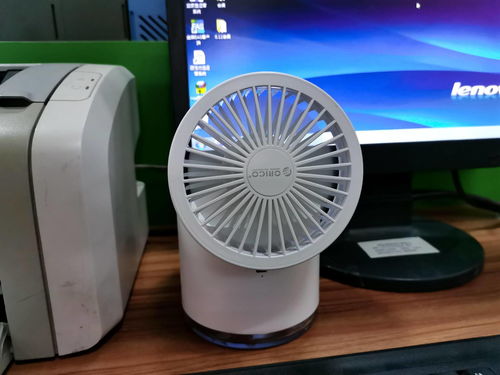 电脑桌面宠物藏着多少你不知道的玩法？从摸鱼神器到情感陪伴的5种打开方式