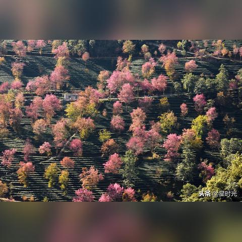 无心人论坛,访问时需要注意哪些事项