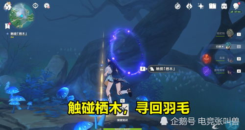 雾海纪行隐藏结局卡关？老玩家用3个「提瓦特地理冷知识」破局