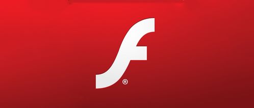 牛牛播放器：音乐世界的救星，带你开启音乐天堂！