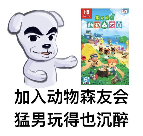 动物森友会还在乱玩?资深岛主揭秘30天从0到全成就的隐藏逻辑 动物森友会还在乱玩?资深岛主揭秘30天从0到全成就的隐藏逻辑