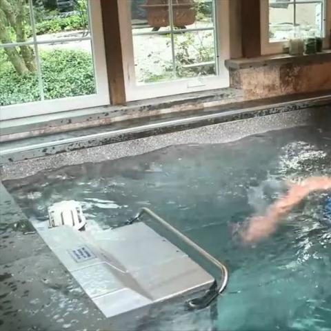 泳池无尽版攻略（地面植物是否可以在水中放置）