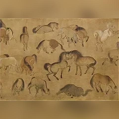 怎么买马,怎么才能买到性价比高的