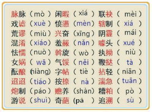 zz的拼音缩写词汇大解析：你了解哪些？