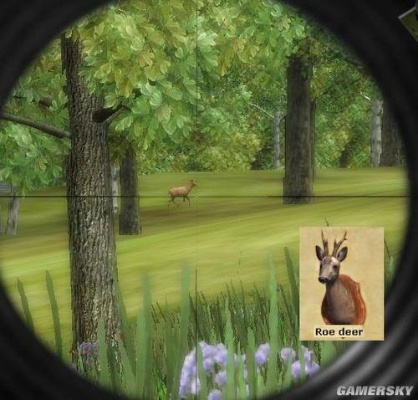 3D打猎2010怎么玩？老猎人压箱底的5个实战技巧，新手3小时变准神