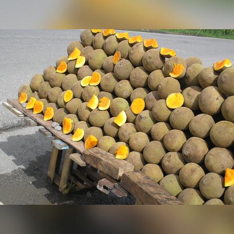 阿兹特克文明藏着多少游戏没说透的生存密码？玩家必看的雨林文明实战拆解