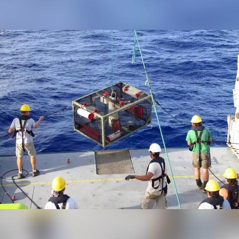 掠食2玩家别再乱捡垃圾了！你忽略的资源生存链，才是通关的关键逻辑