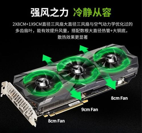 AMD显卡专属优化升级，荒野猎人性能飞跃新体验