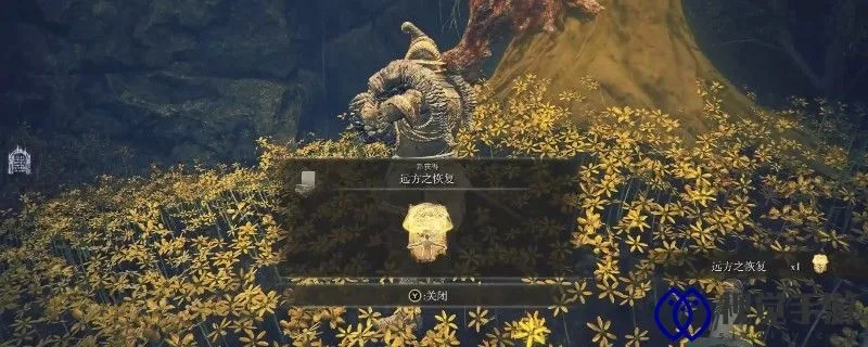 艾尔登法环DLC藏了多少没说的秘密？从褪色者的第三只眼看懂交界地的隐藏闭环