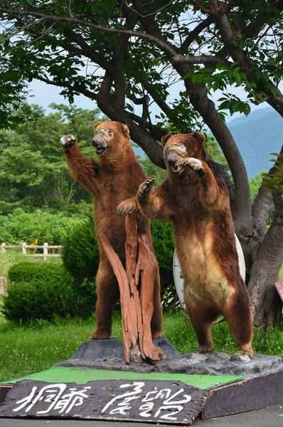 羊蹄山魂探秘：与熊共舞新体验