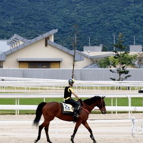 《赛马大亨10》2026革新启航，全面进化新纪元